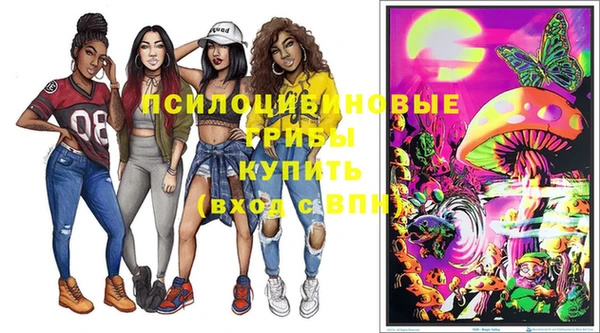 дурь Новодвинск