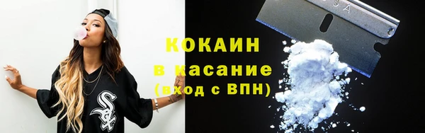 дурь Новодвинск