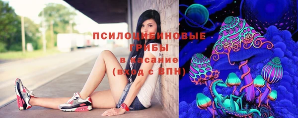амф Нефтекумск