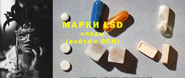 дурь Новодвинск