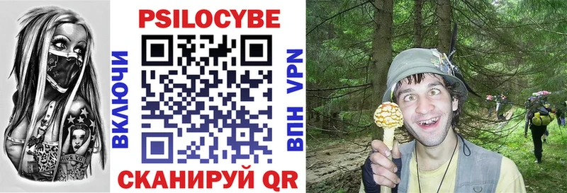 Псилоцибиновые грибы мухоморы  где купить наркотик  hydra сайт  Покров 